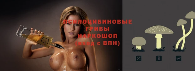 амф Аркадак
