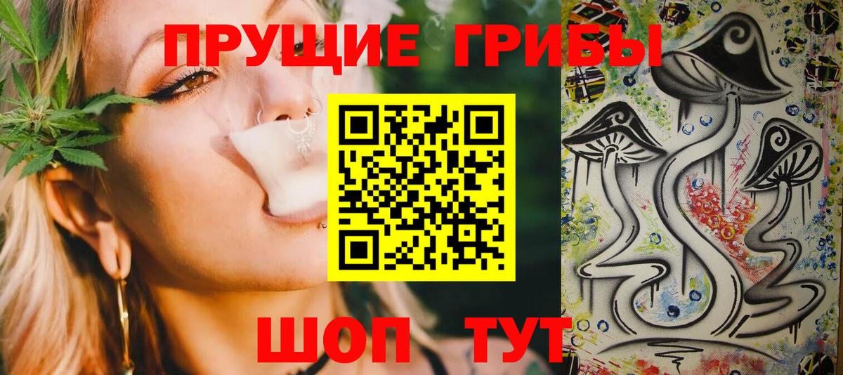 Тверь  Галлюциногенные грибы Psilocybe  Вход с VPN 